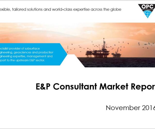 E&P Consultant Market Report – 2016