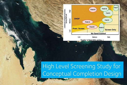 High Level Screening Study for Conceptual Completion Design